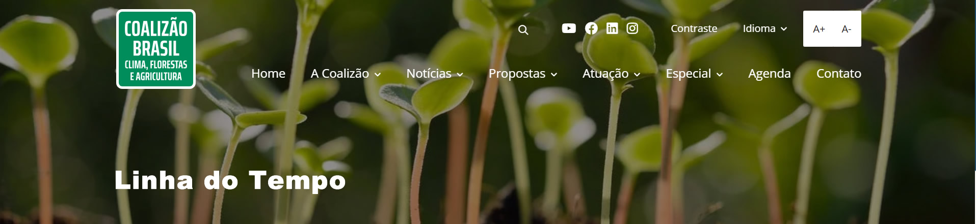 Imagem de topo